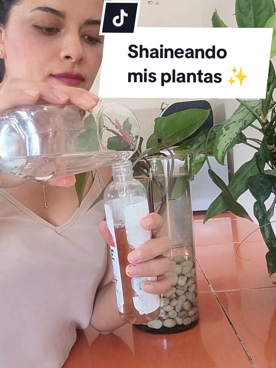 @Plantología🌿