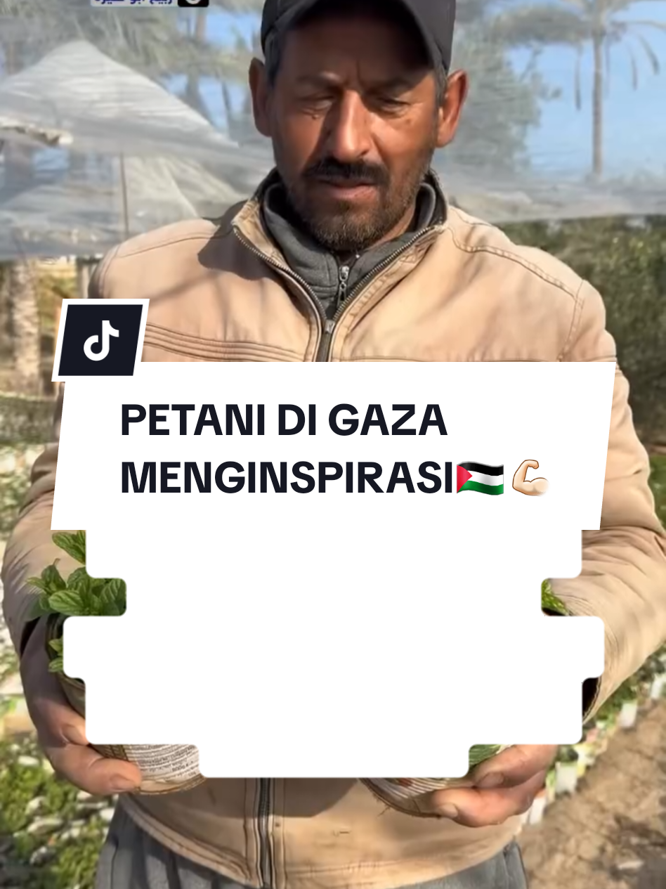 @Anida_Ghaziya