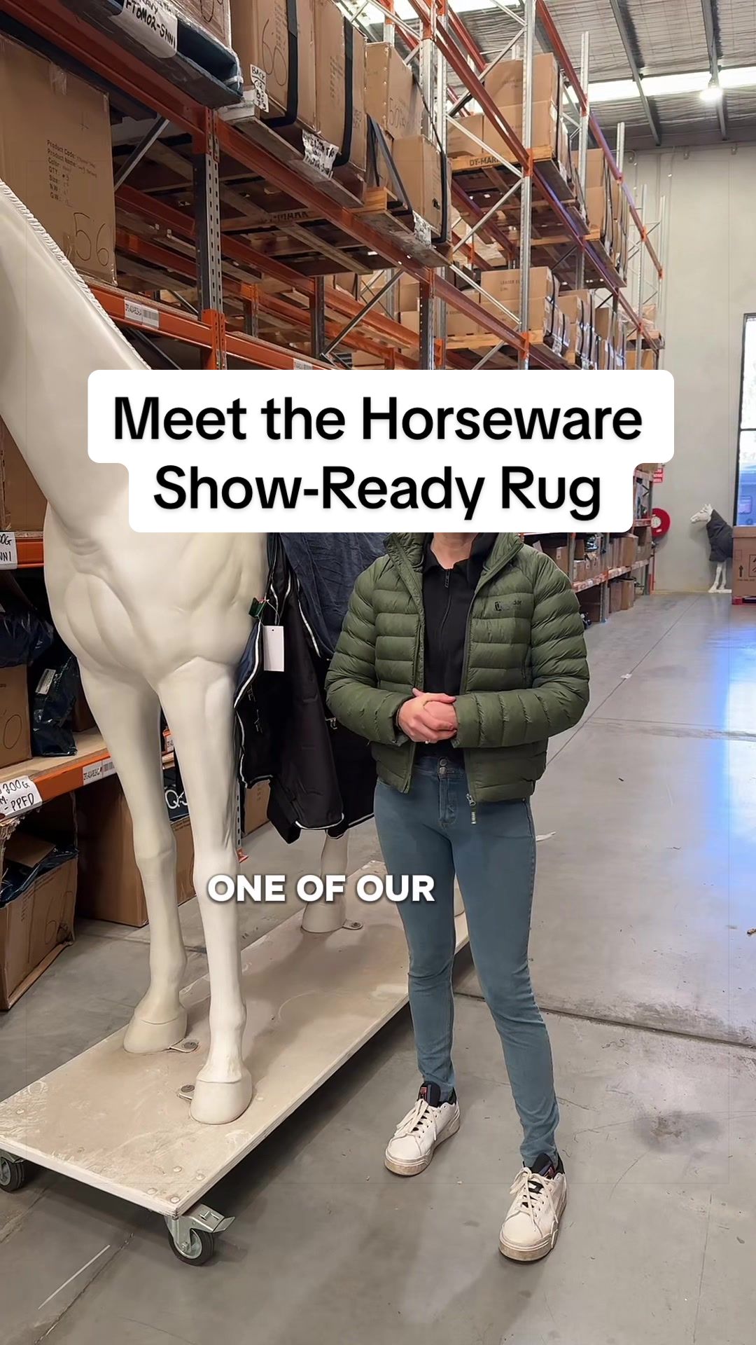 @Leader Equine