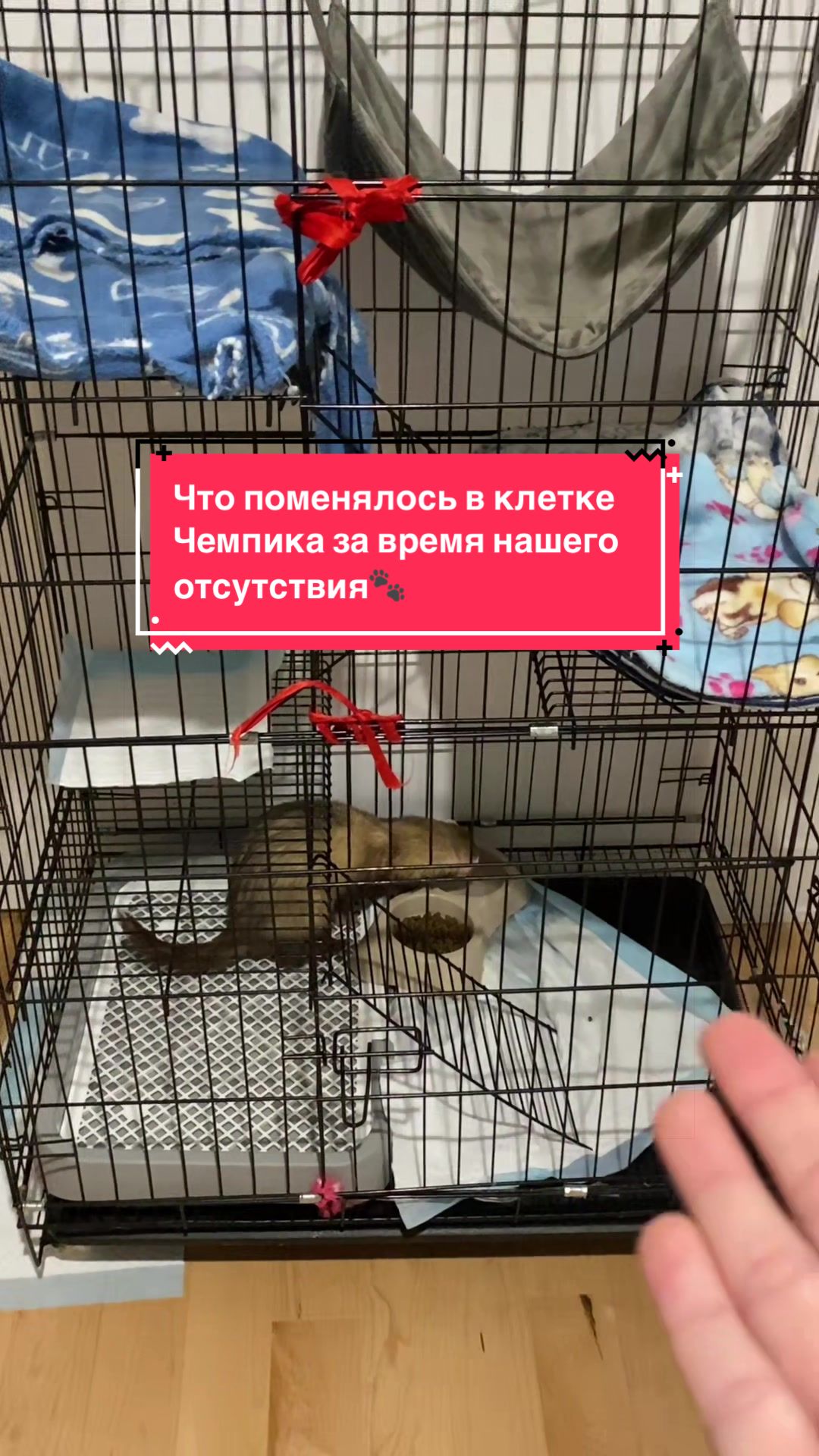 @F_u_r_e_t🐾✨🤍