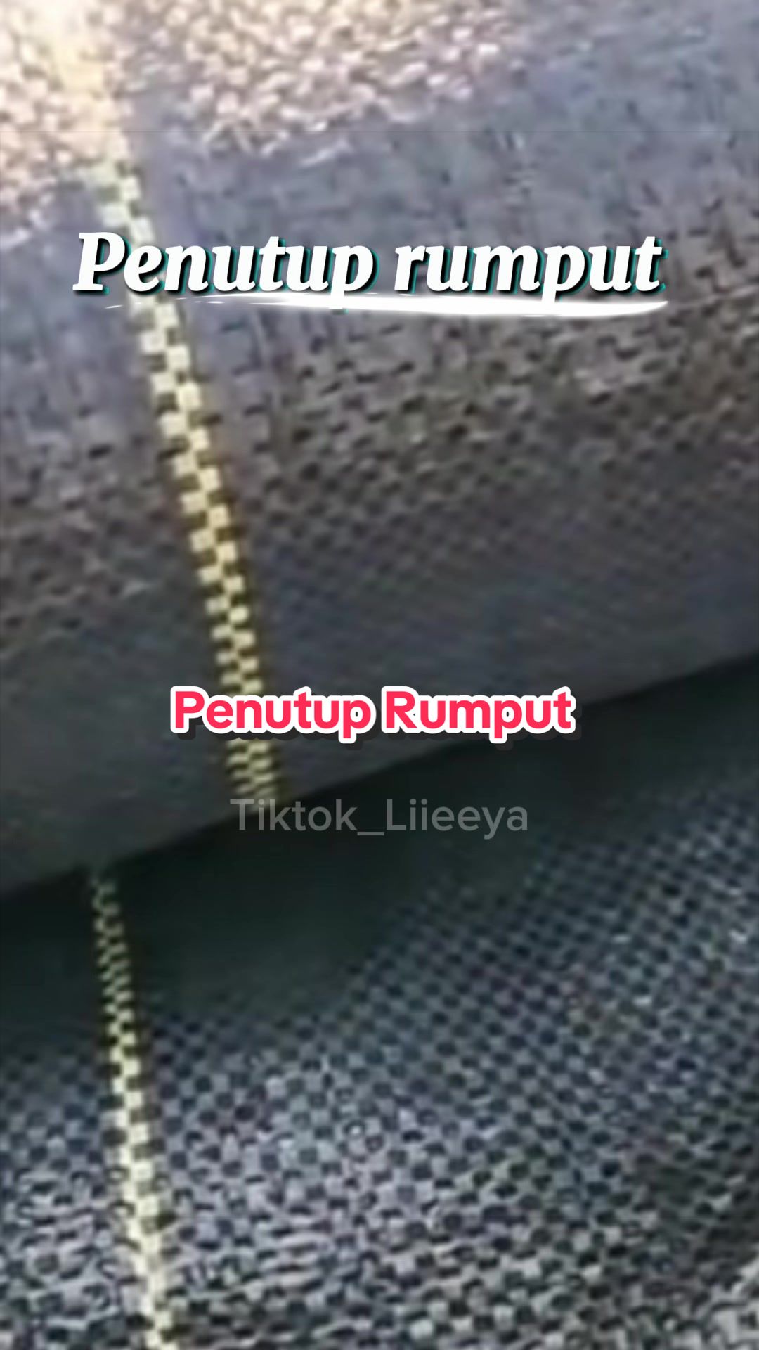@Liya