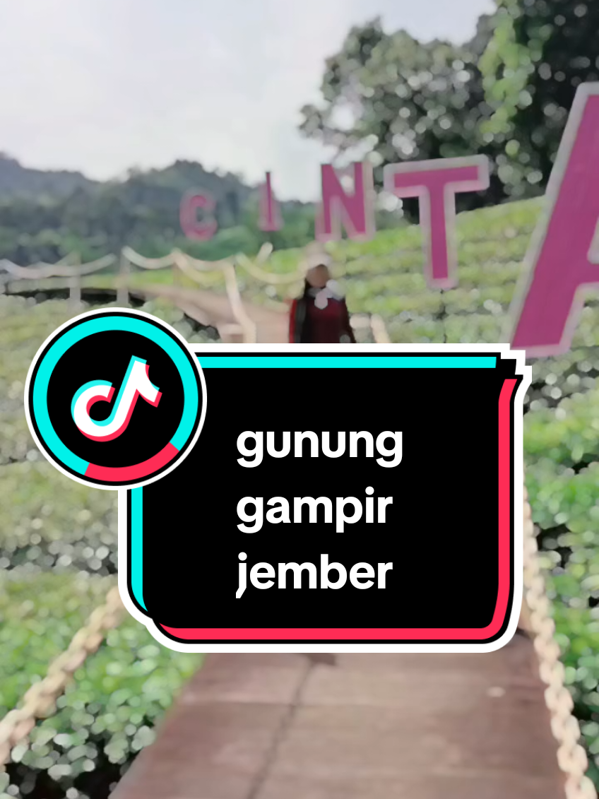 @AmyRama05