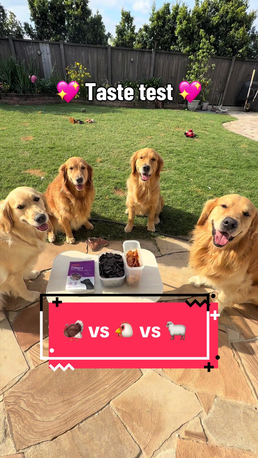 @3goldenretriever