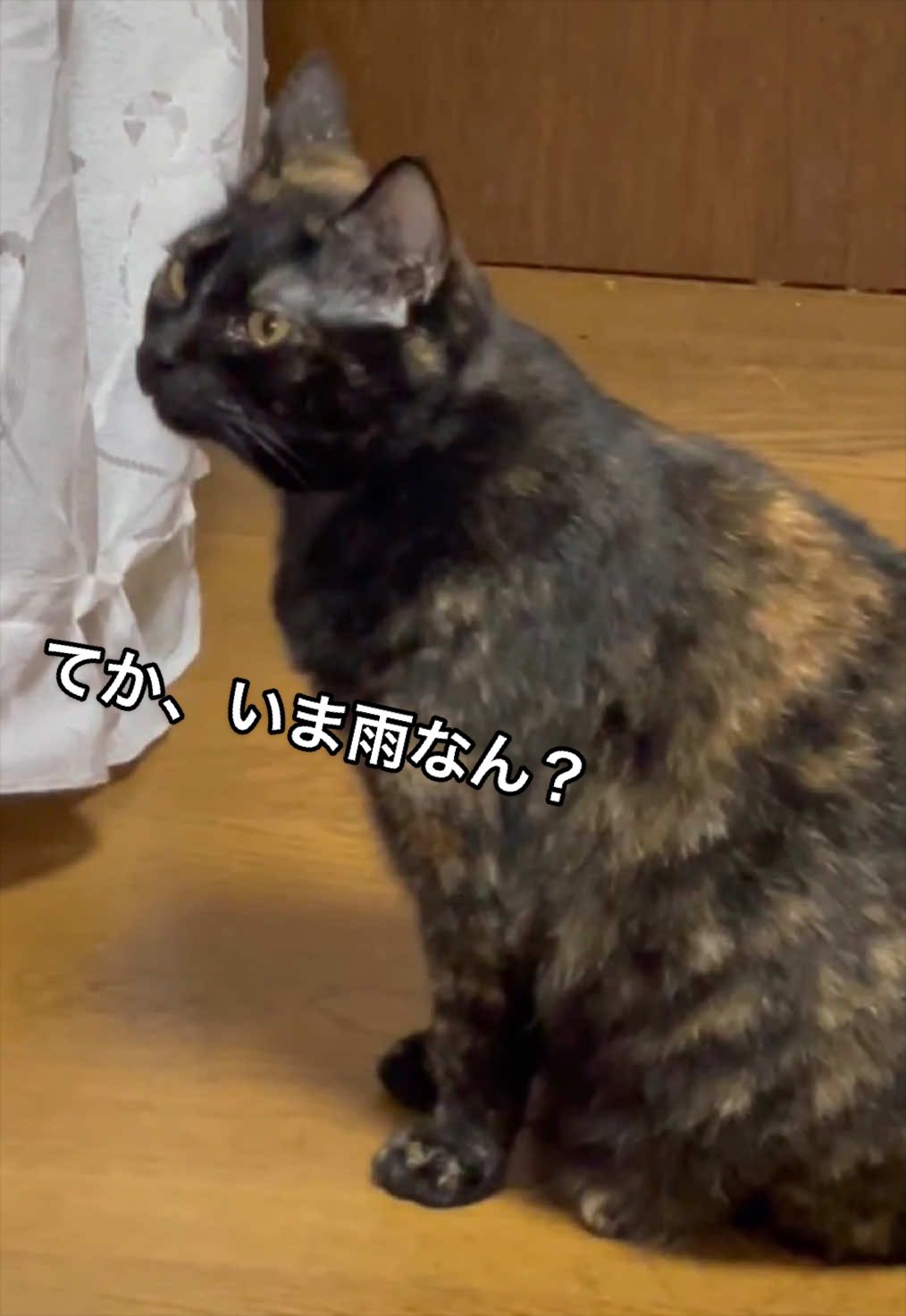 @聴々物語PROJECT
