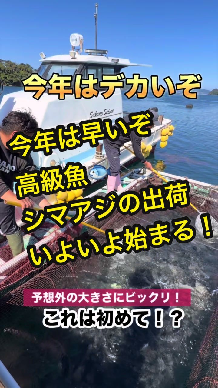 @長崎のイケメン漁師@坂野水産