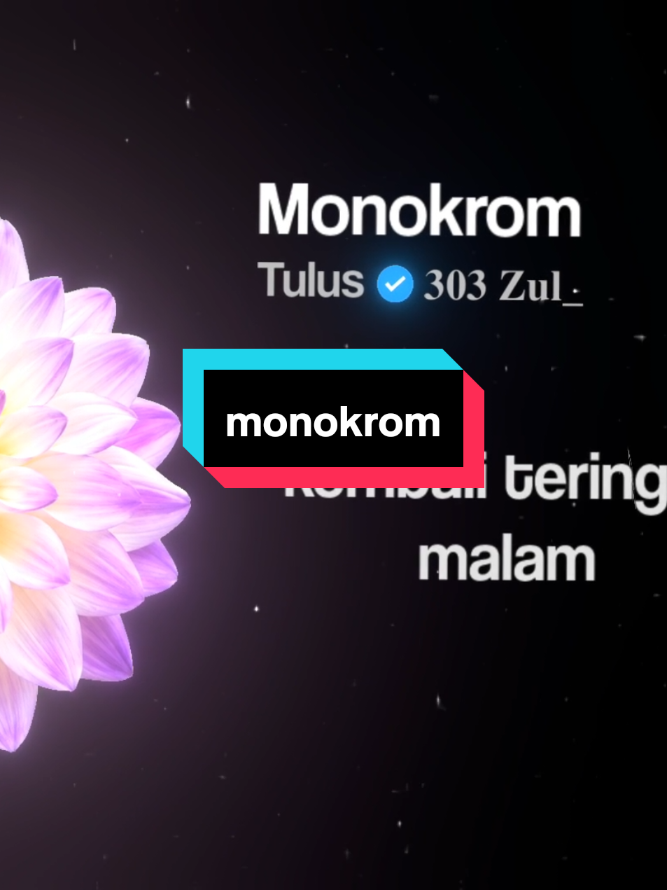 @𝟑𝟎𝟑 𝐙𝐮𝐥_