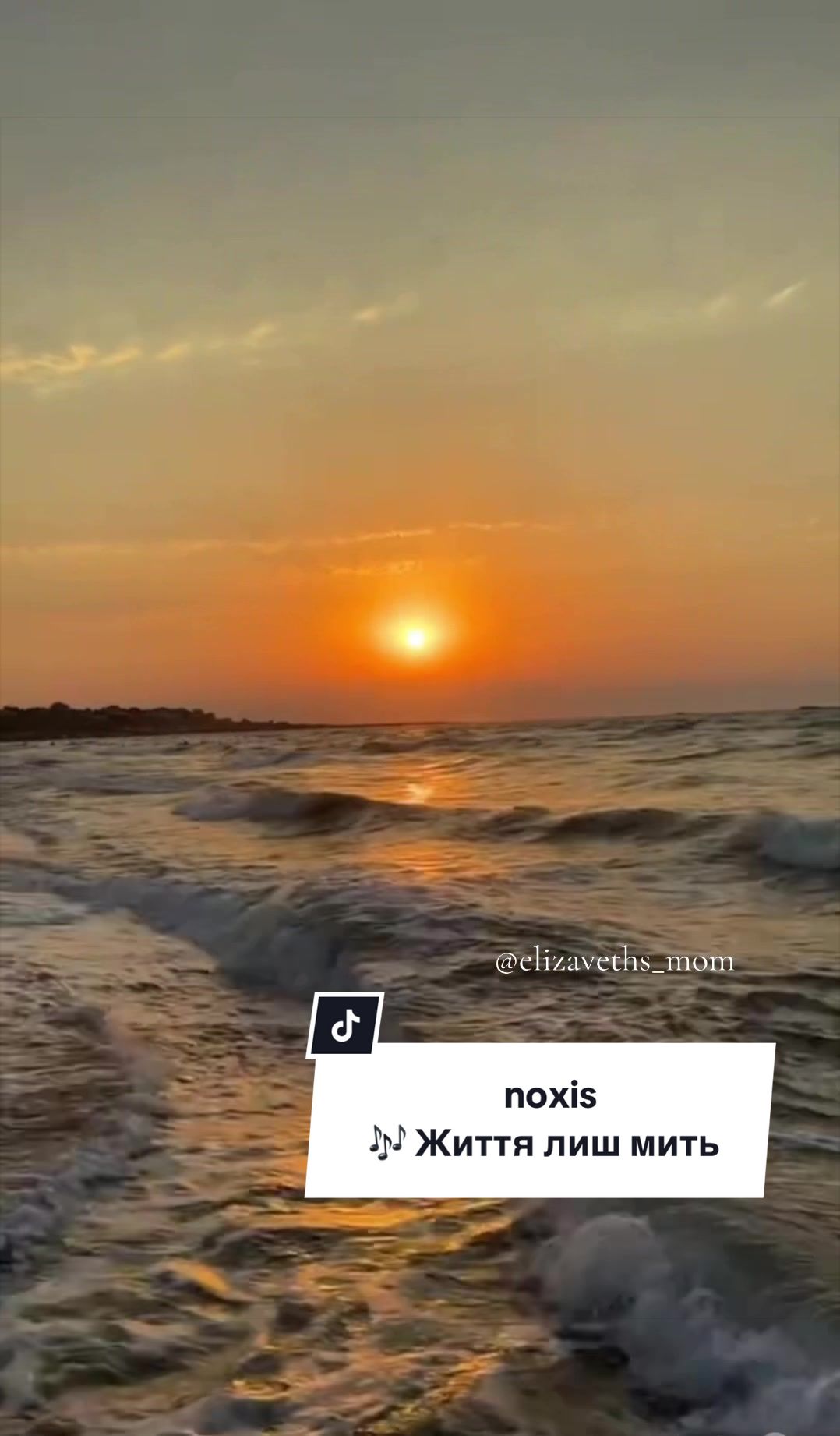 @༺ 𝓩𝓸𝓻𝓲𝓷𝓪 ༻