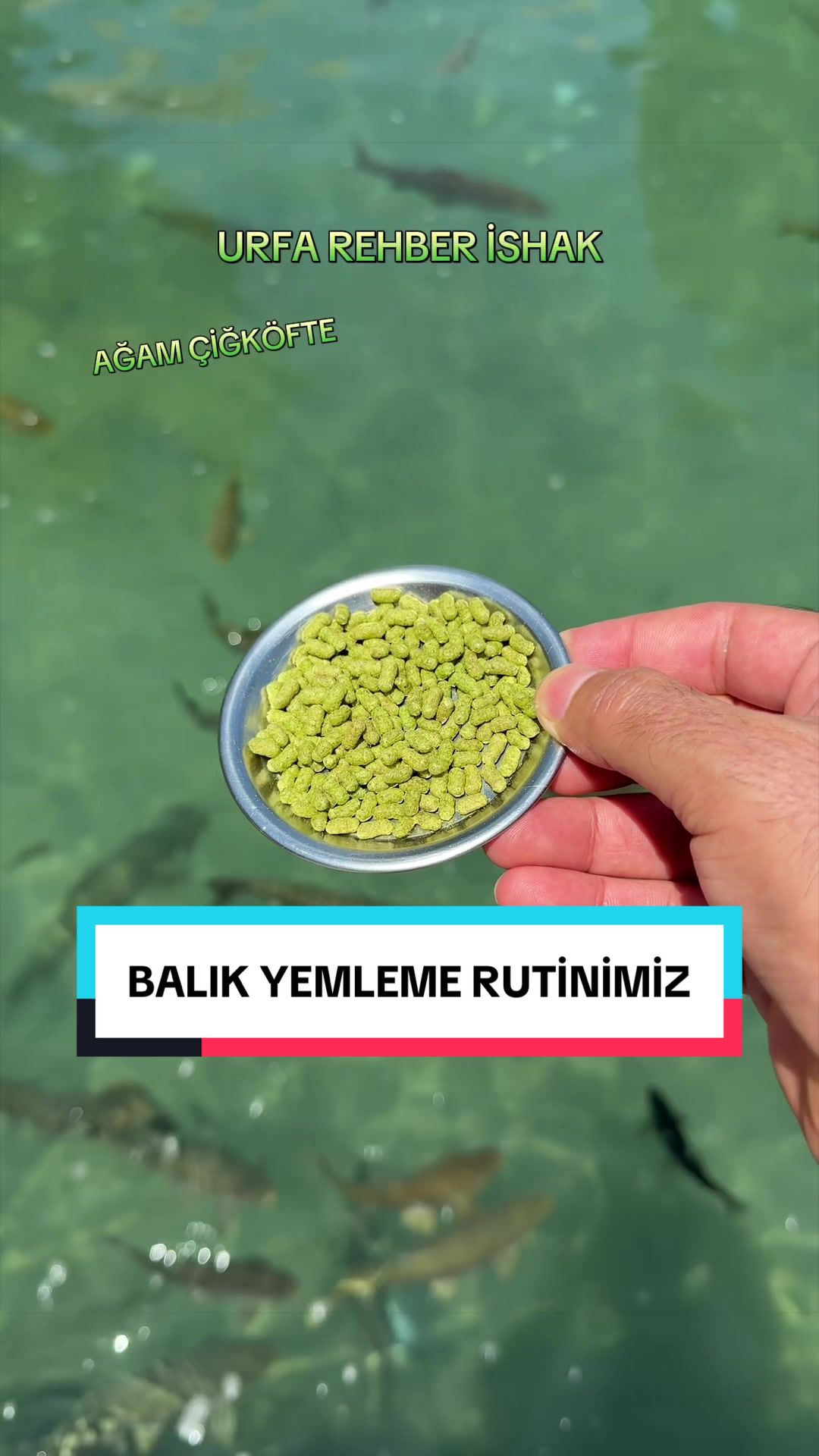 @🟨URFA🟩REHBER🟨İSHAK🟩