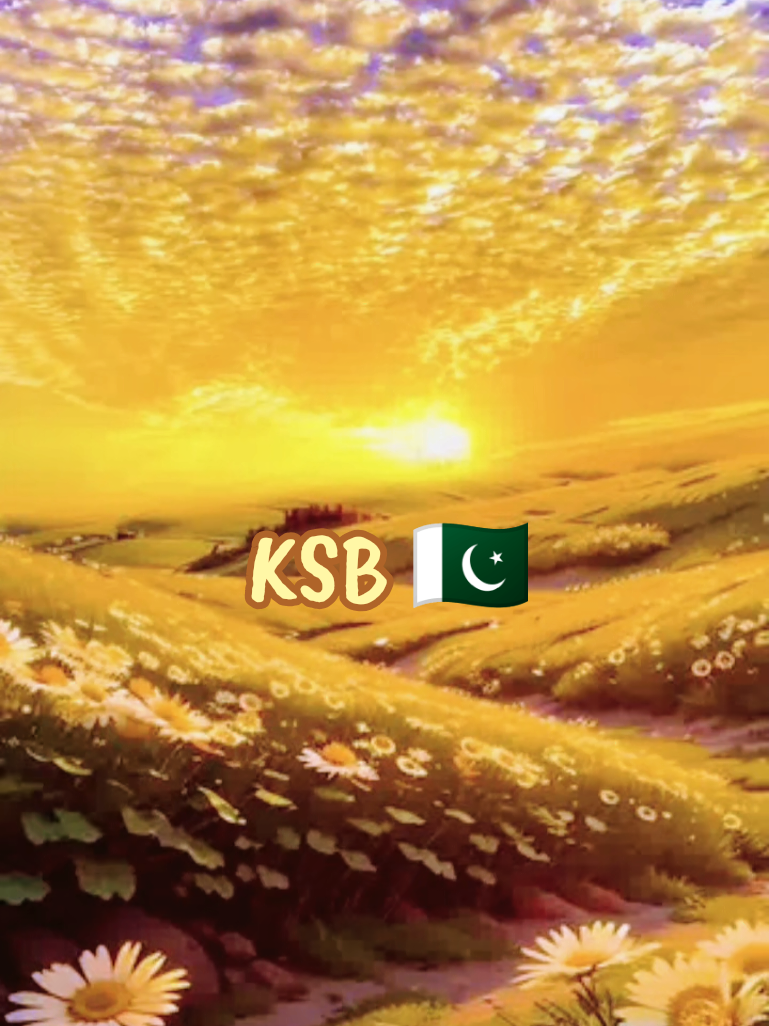 @KSB  🇵🇰
