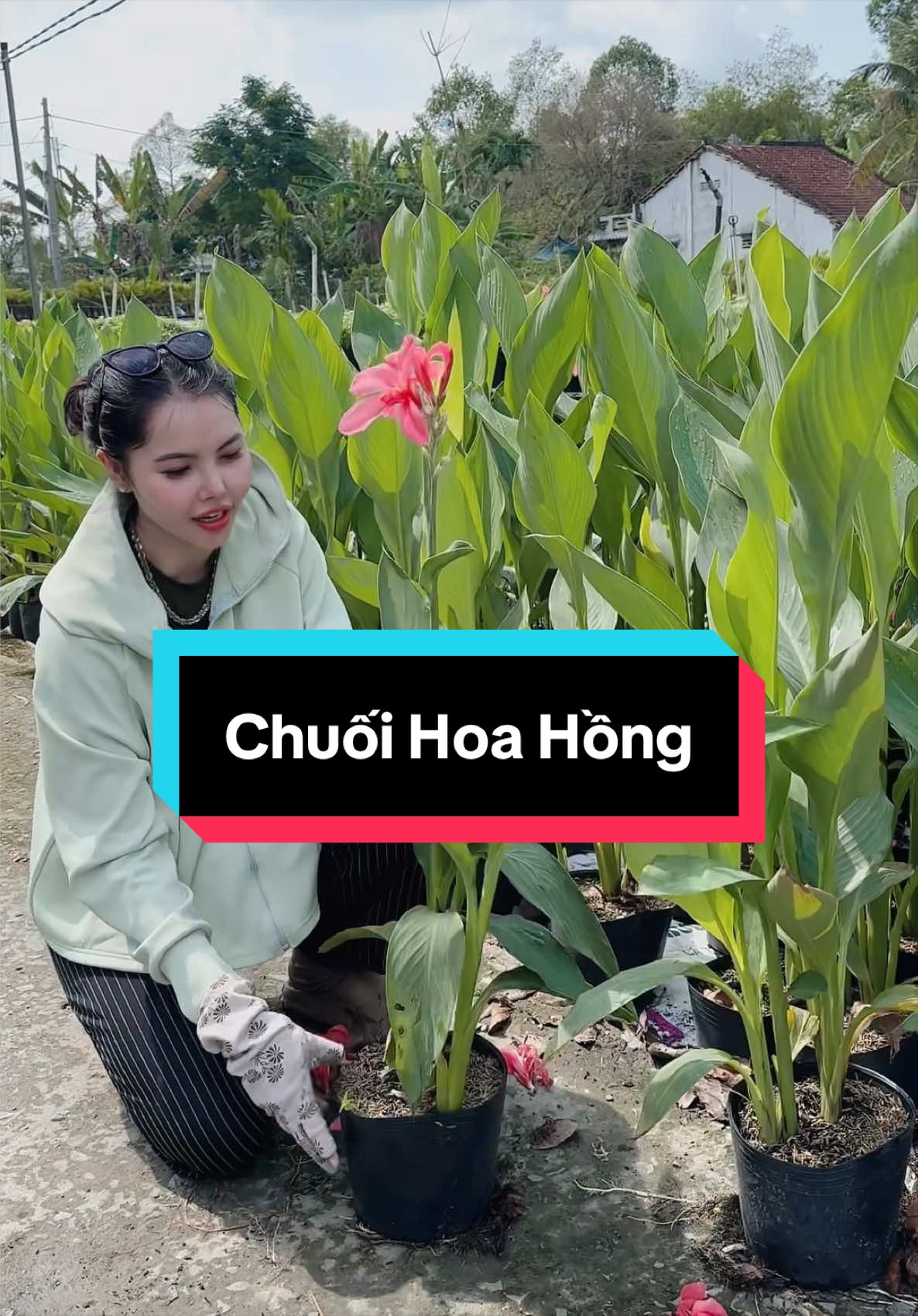 @Tiệm L&aacute; Nhỏ