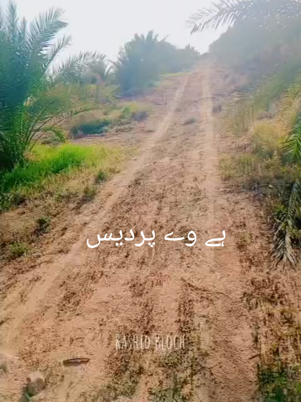 @irfanbaloch22