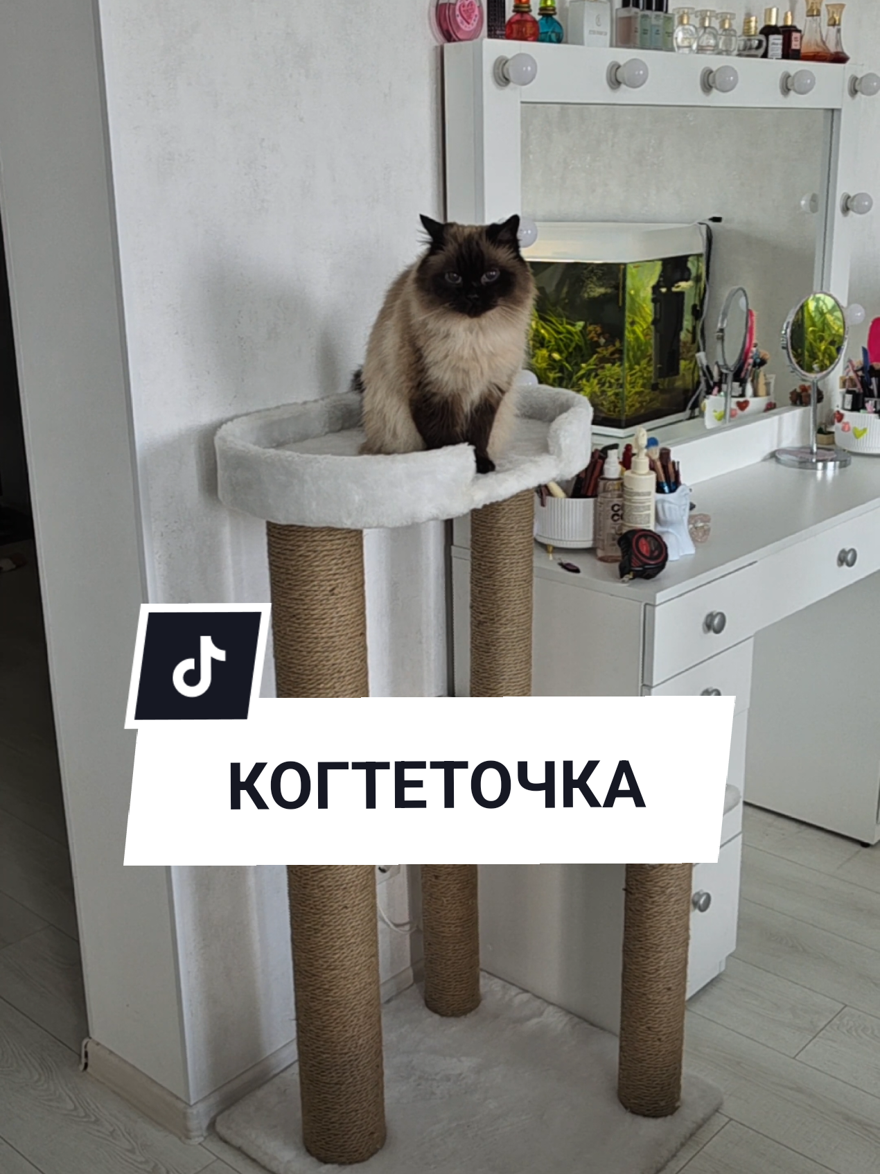 @Аня Бобруйск