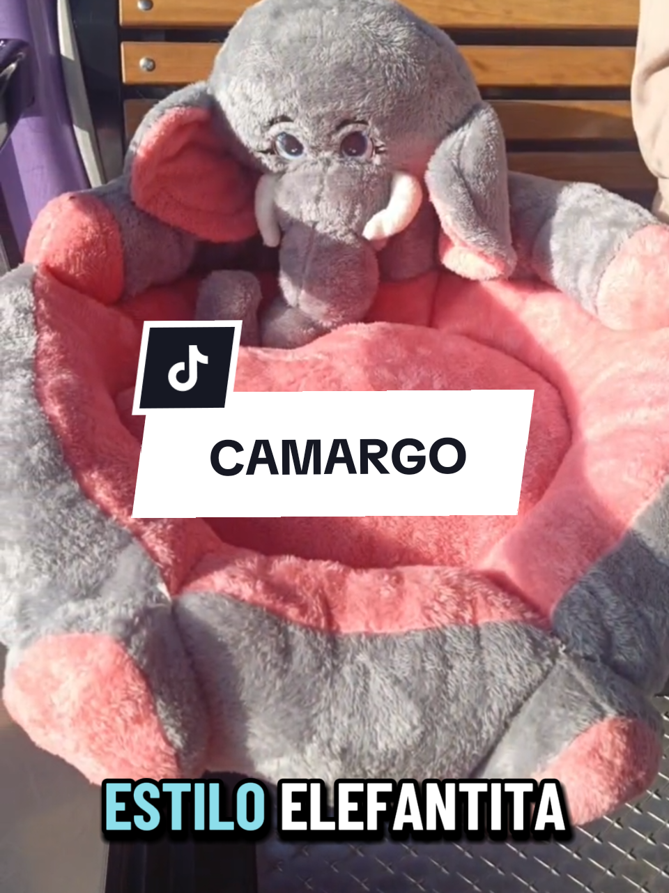 @Minxgia Pets