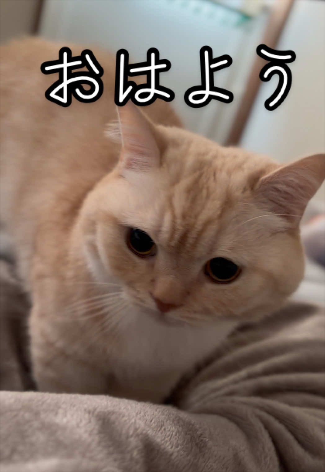 @縫くんと私
