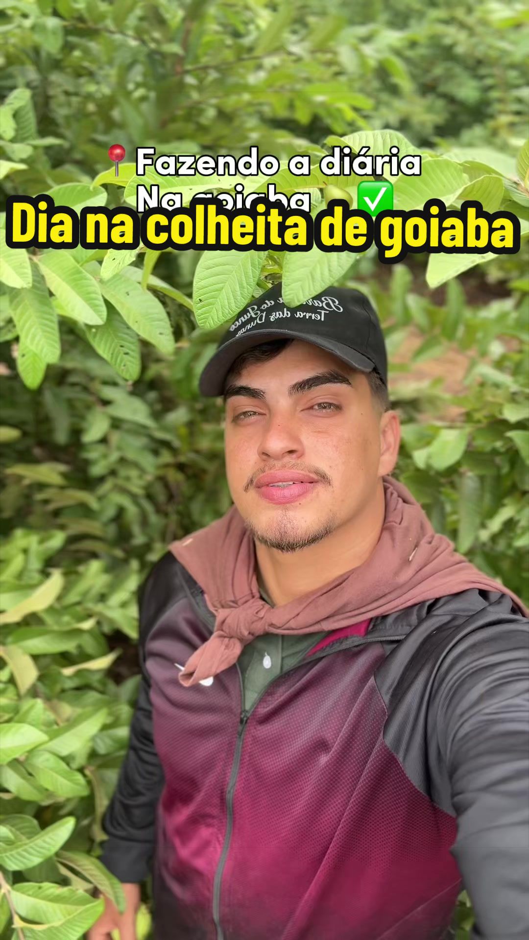 @Rafael Mello