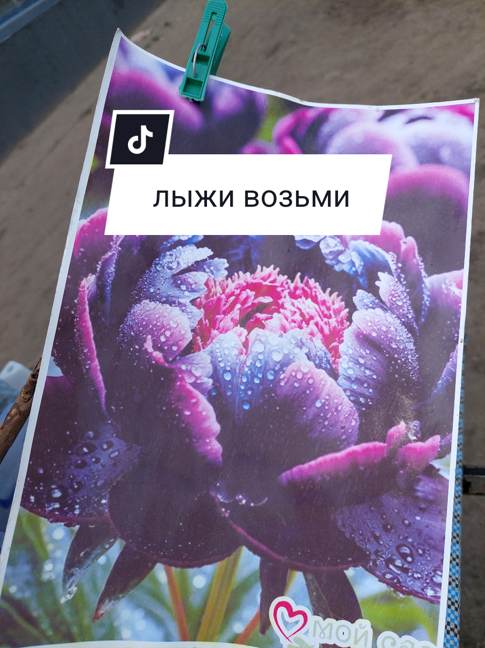 @Рыся✔️🇧🇾