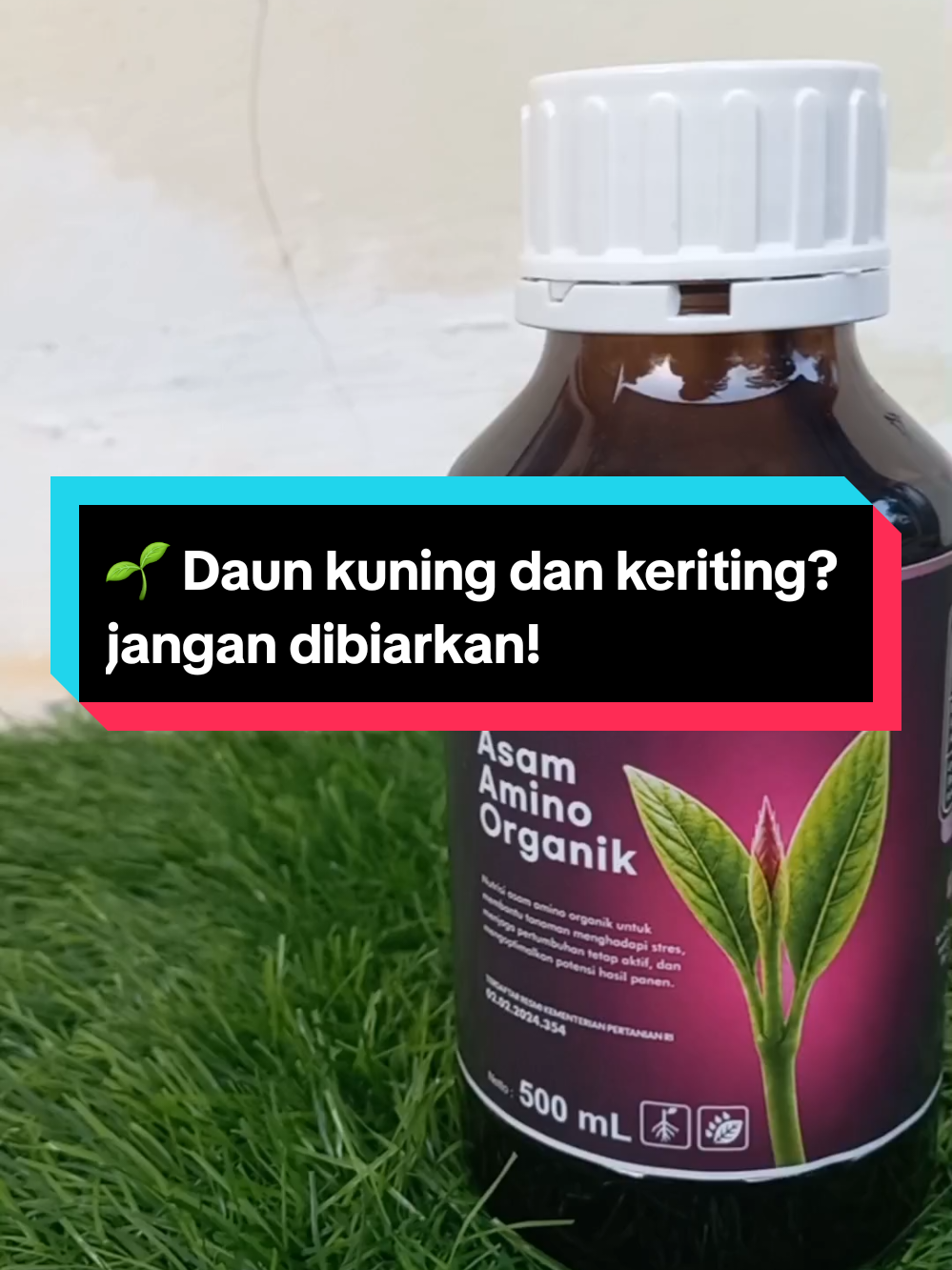 @Nuansatani TV