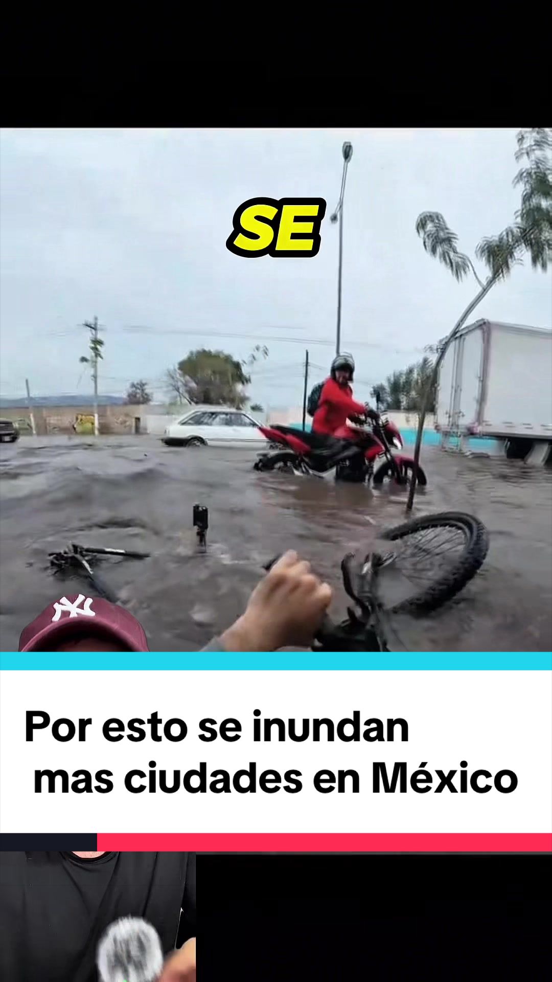 @G E &Oacute; G R A F O