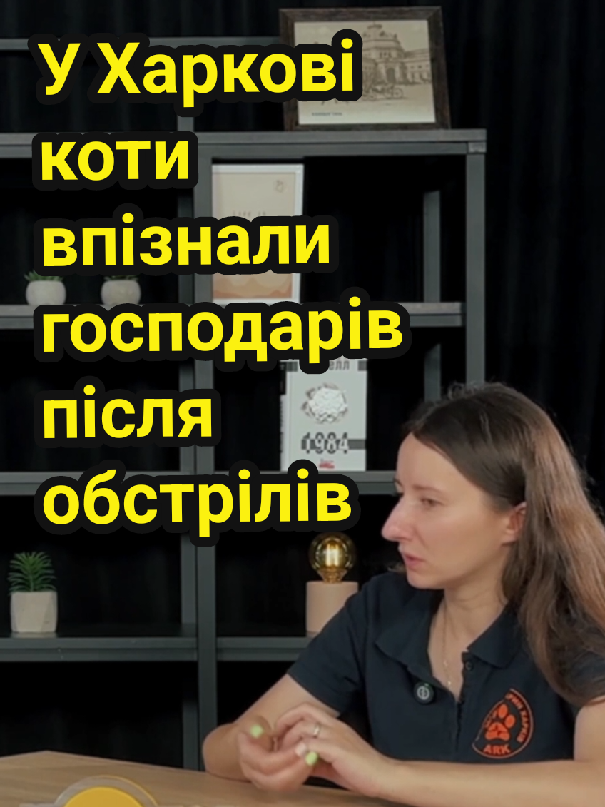 @dumka.media