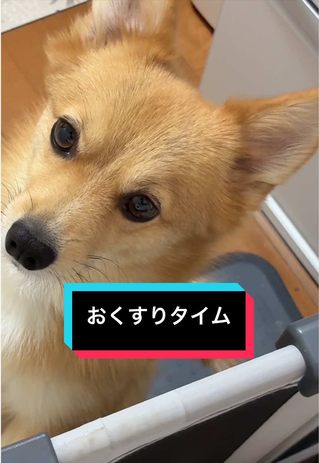 @サクサクビスケット