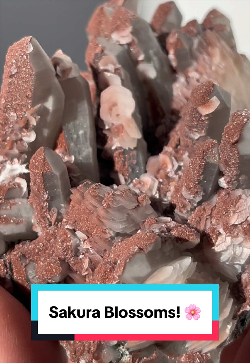 @Priestess Crystals