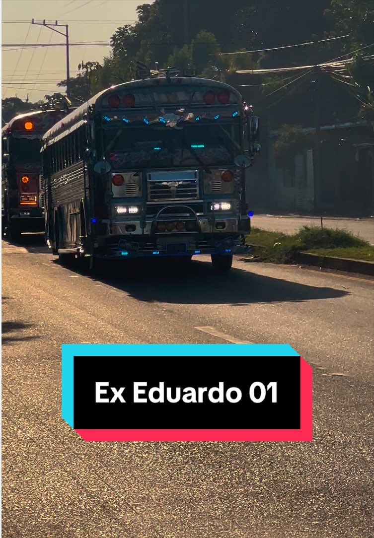 @Alexander Vega