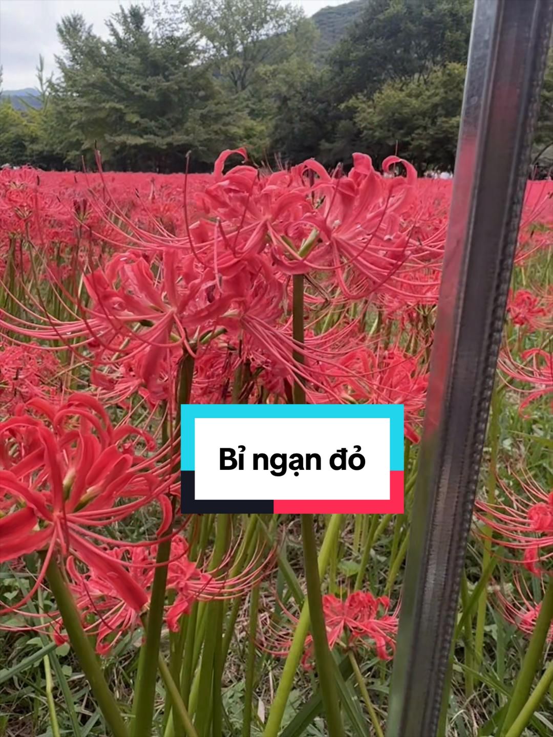 @Hờ Mờ Nờ