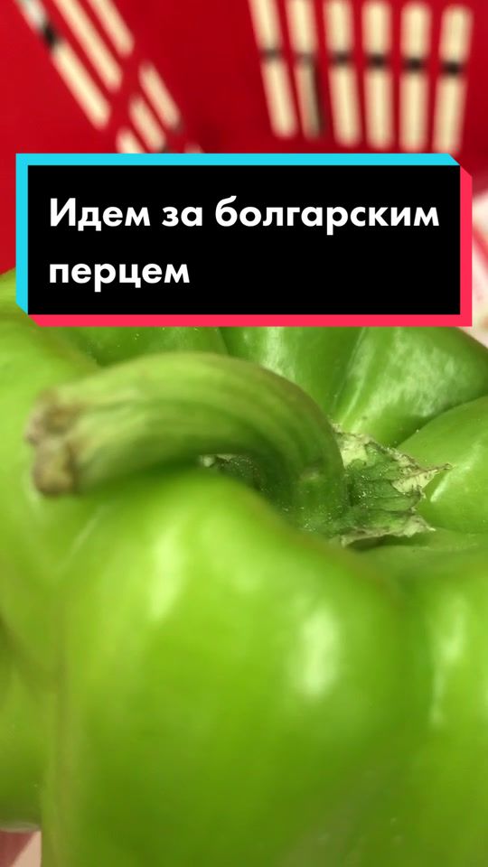 @Разрушительница мифов😎