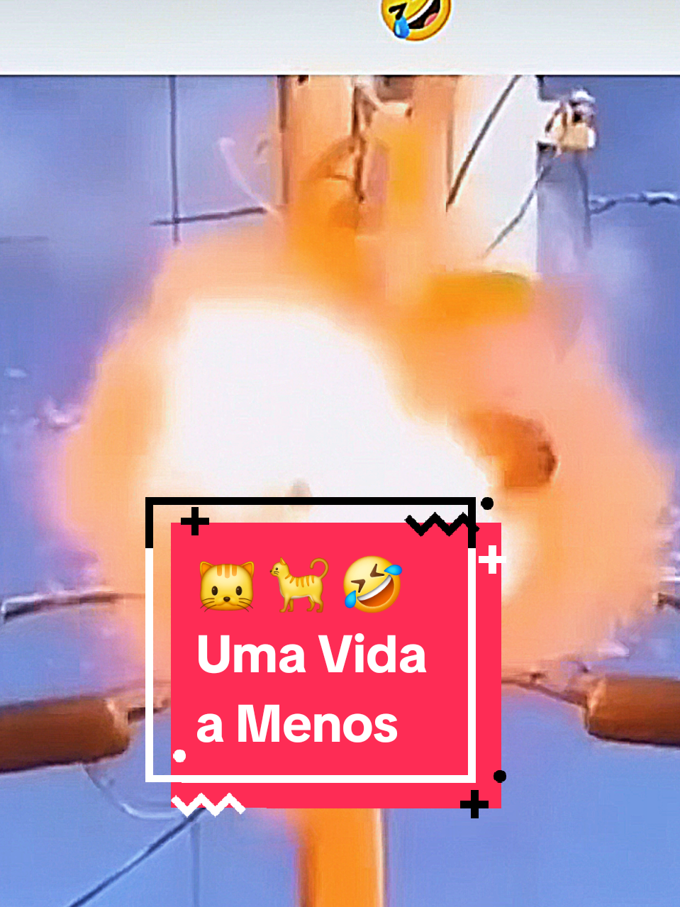 @Cyberpets