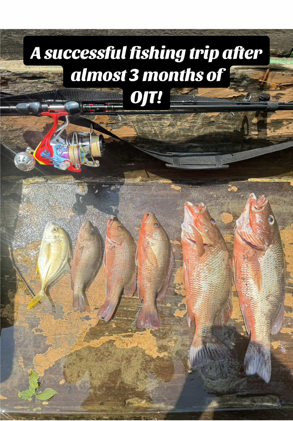 @Wilmer&rsquo;s Fishing Adventure