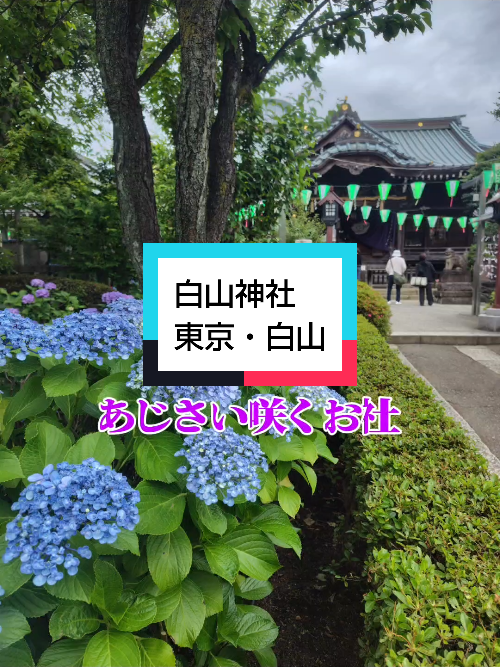 @パワースポッター@寺社御朱印