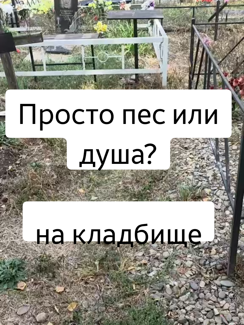 @ТГК: violetta_wax