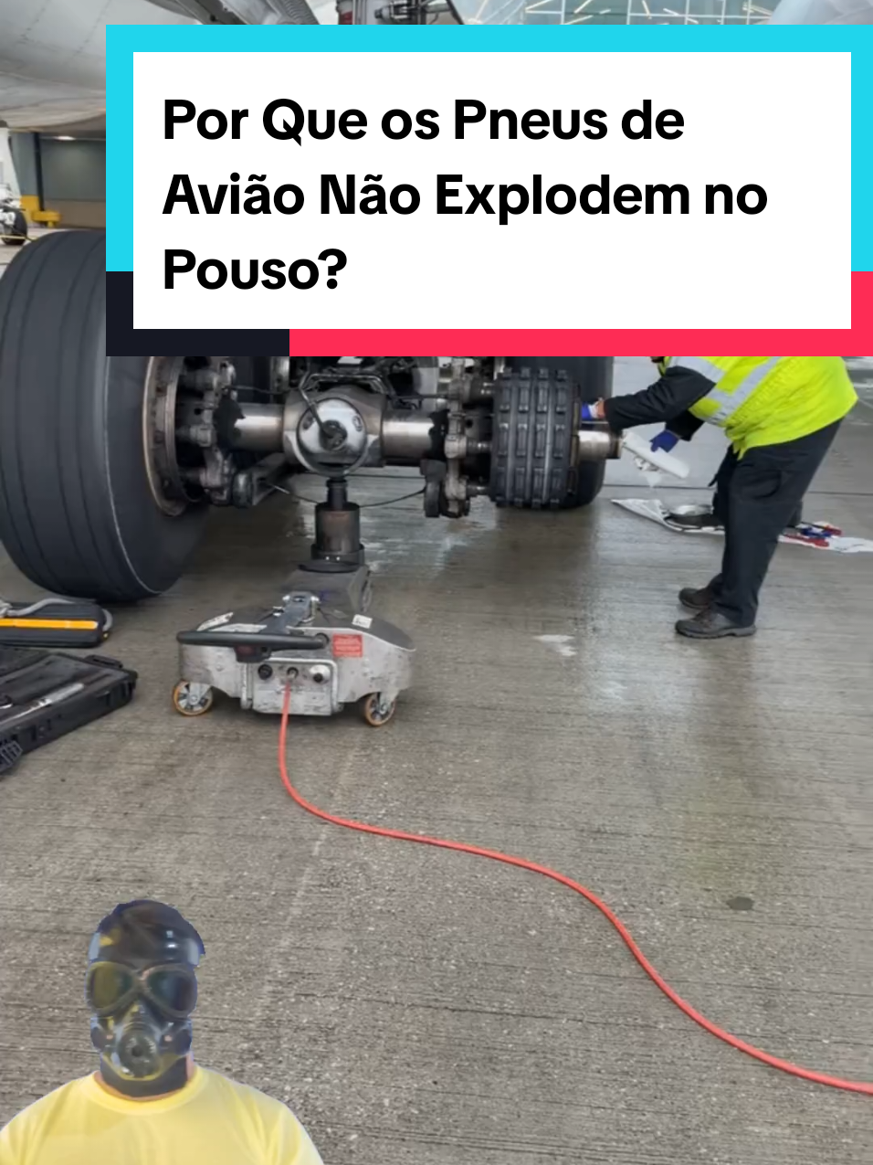 @Mundo da Curiosidades