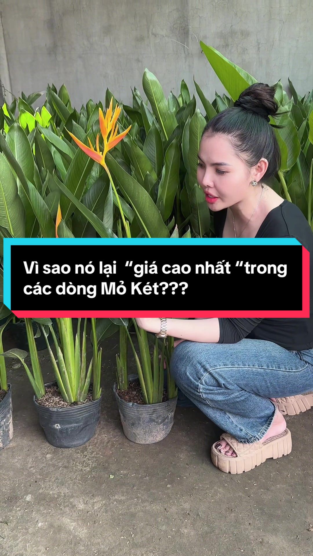 @Tiệm L&aacute; Nhỏ