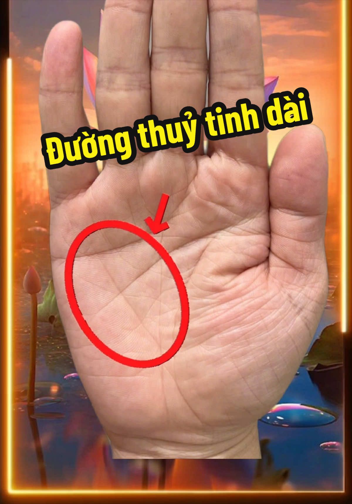 @VẬN MỆNH RADIO