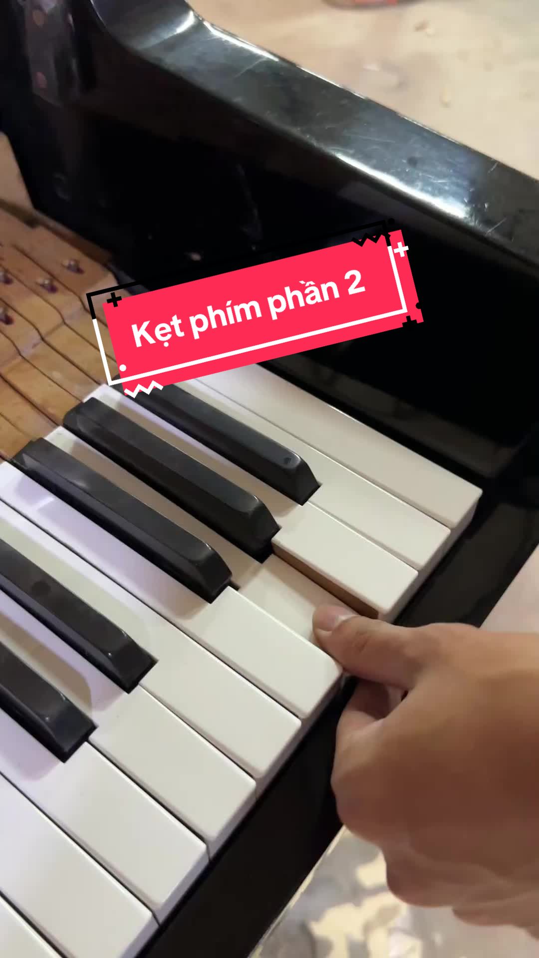 @Tr&iacute; Hiền