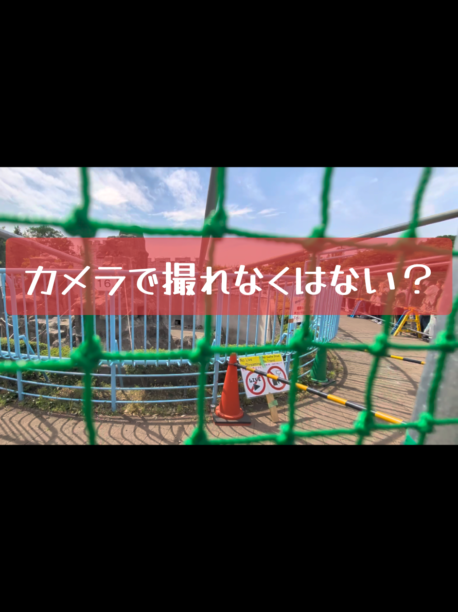 @Punch's Growth Diary