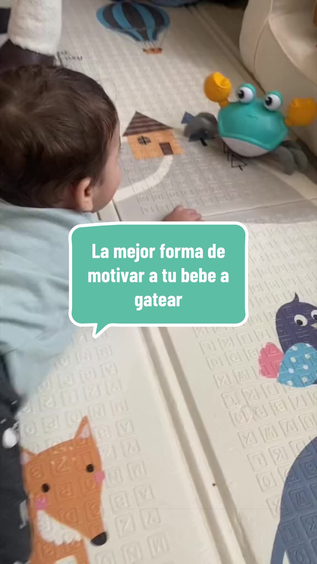 @Baby Gash