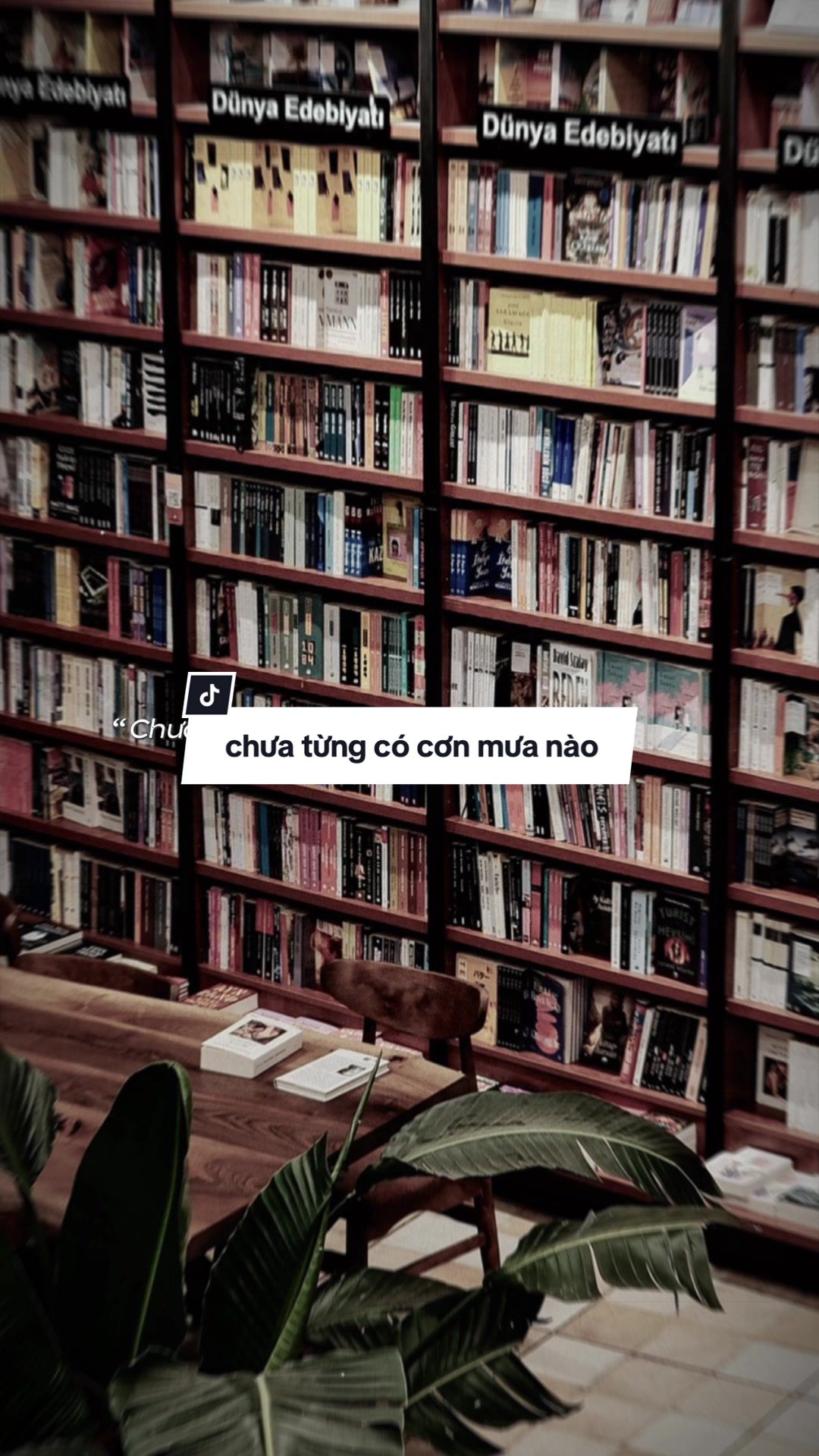 @Có giấy khen nghiện capcut