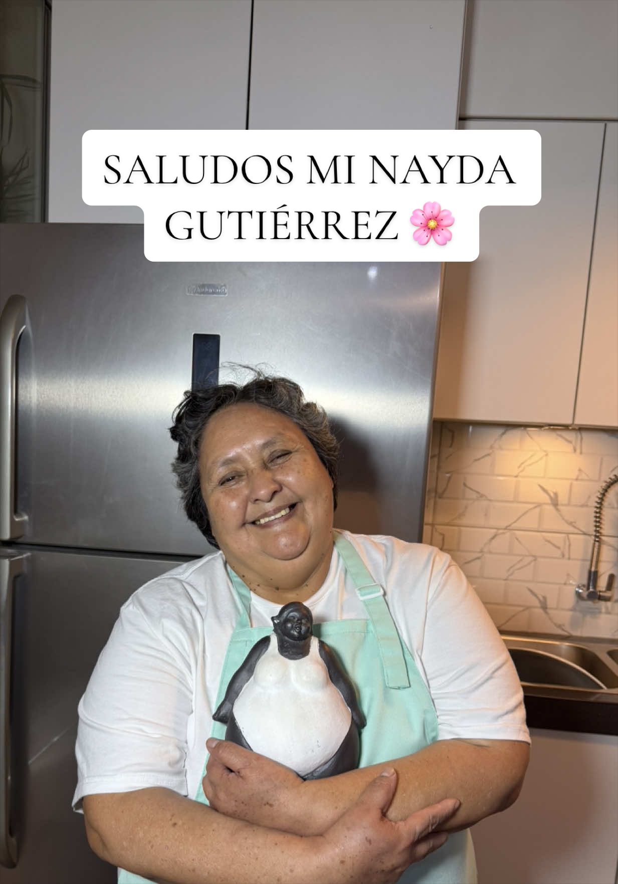 @Lanenita.postres