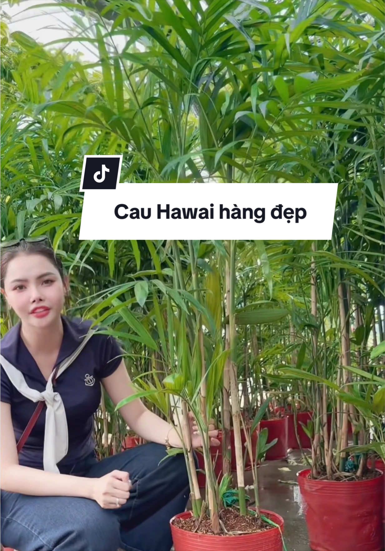 @Tiệm Lá Nhỏ