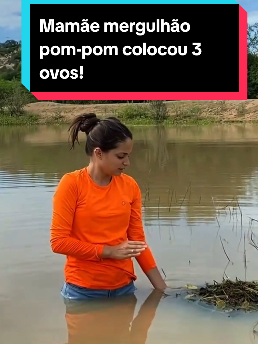 @Princesa das Serpentes