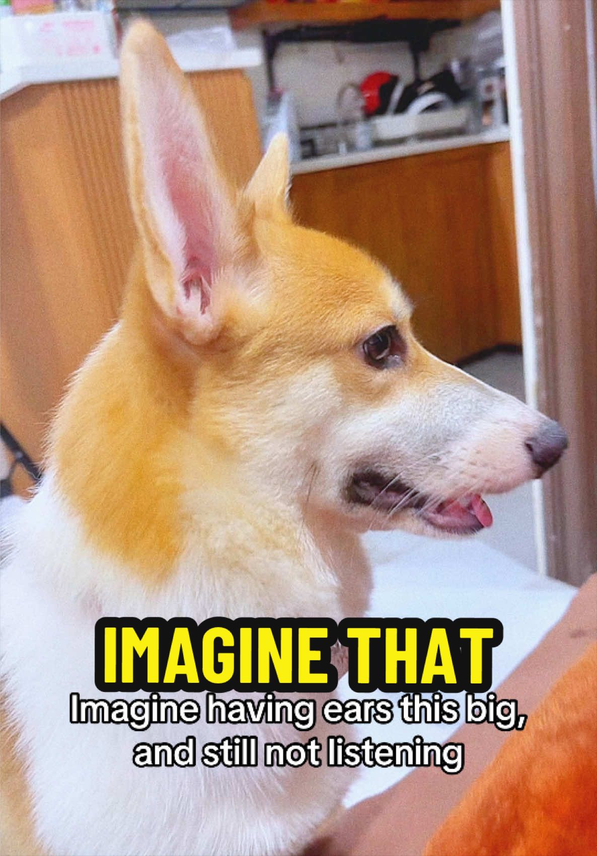 @MaxMc