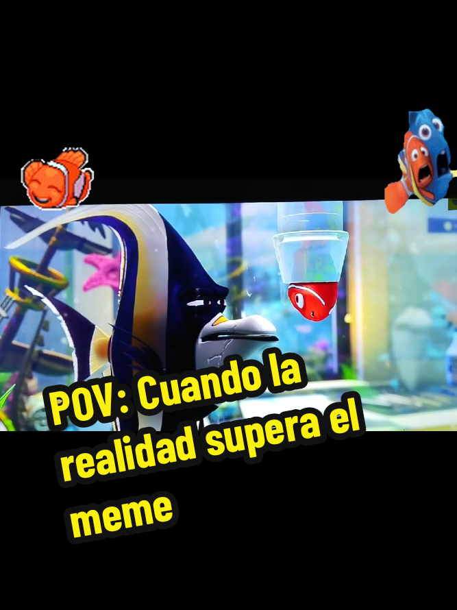 @ruso gringo