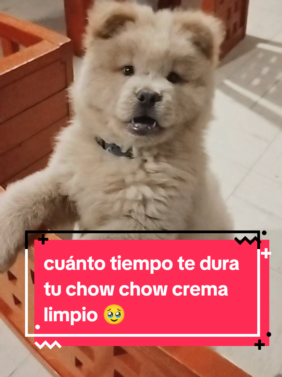 @Lizzi VzM🦋
