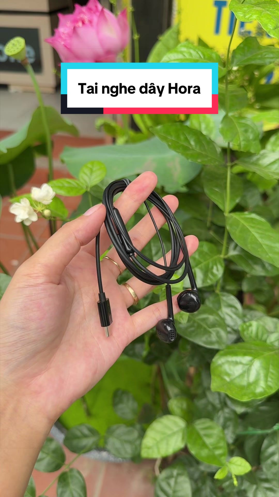@Tuấn Bình Thường