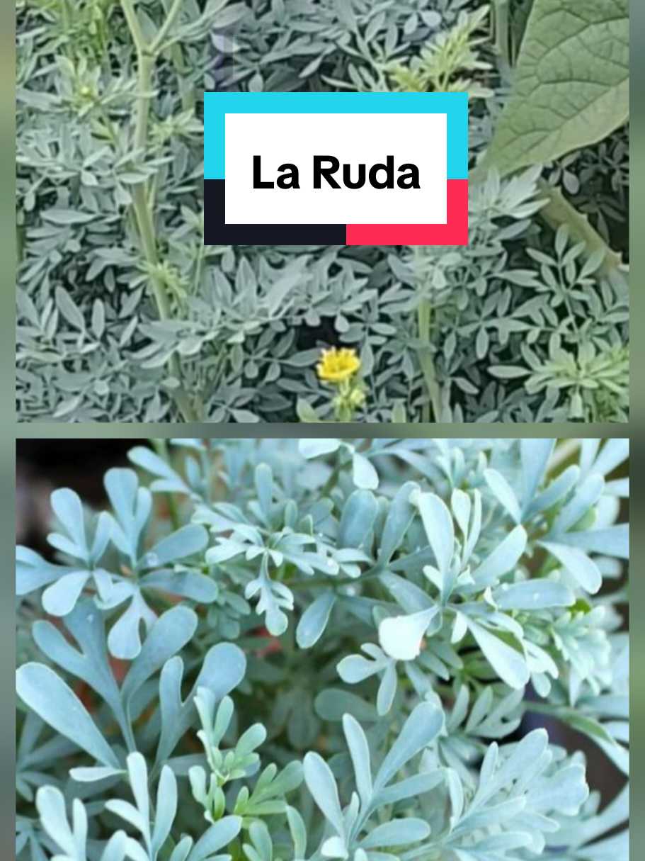 @𝐉𝐨𝐬𝐲