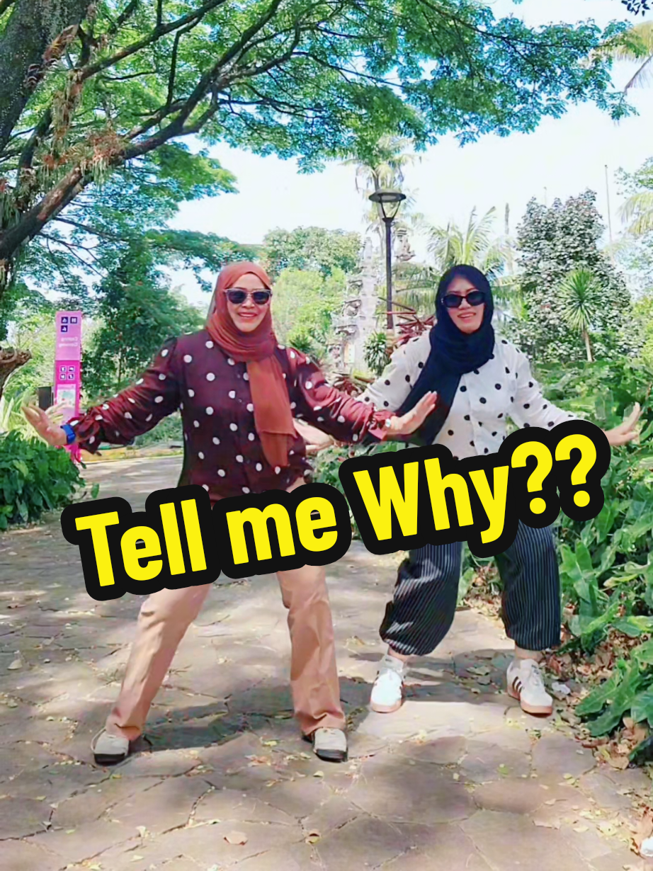 @Bulbulla