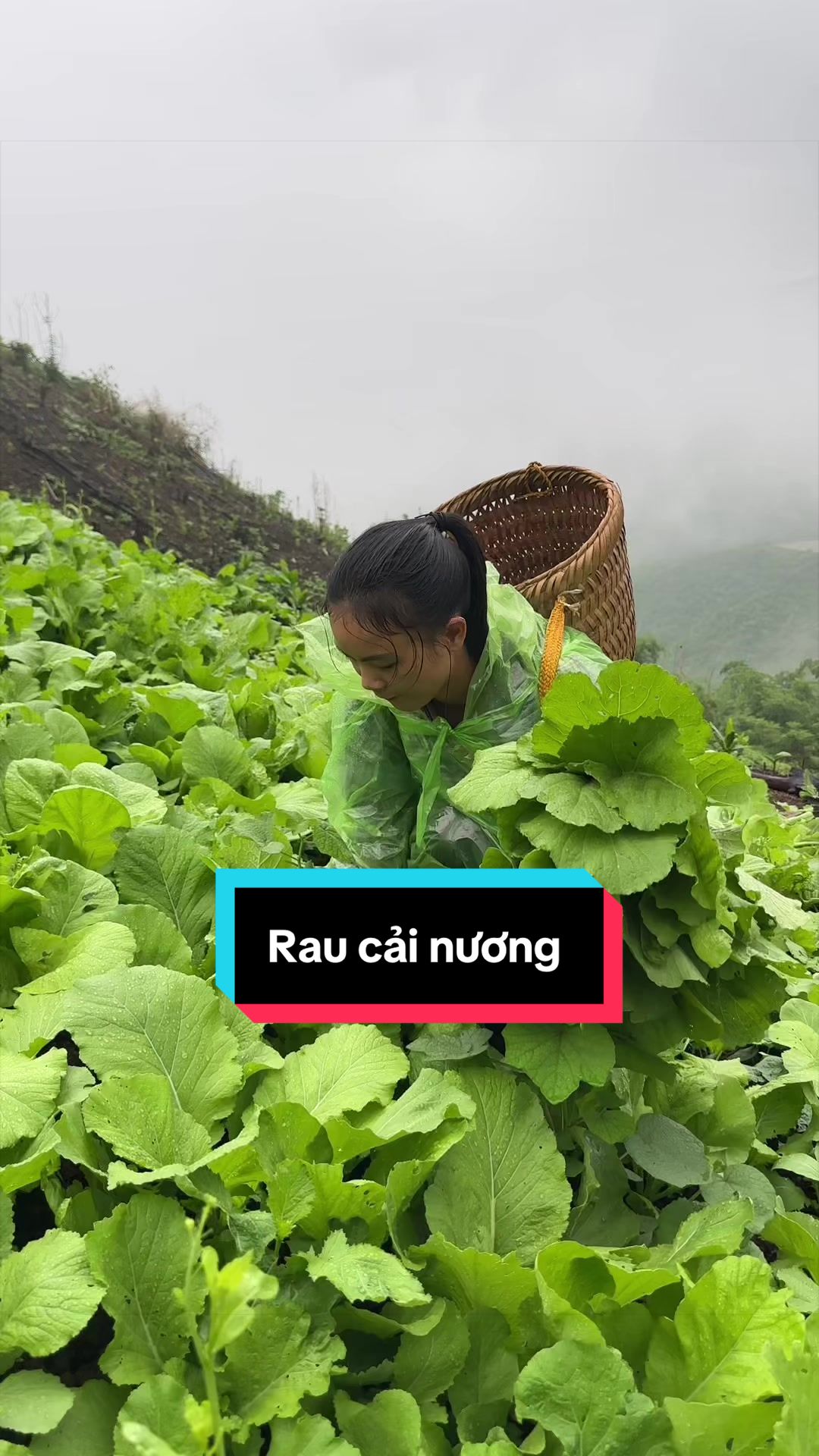@Nhi Dao Đỏ