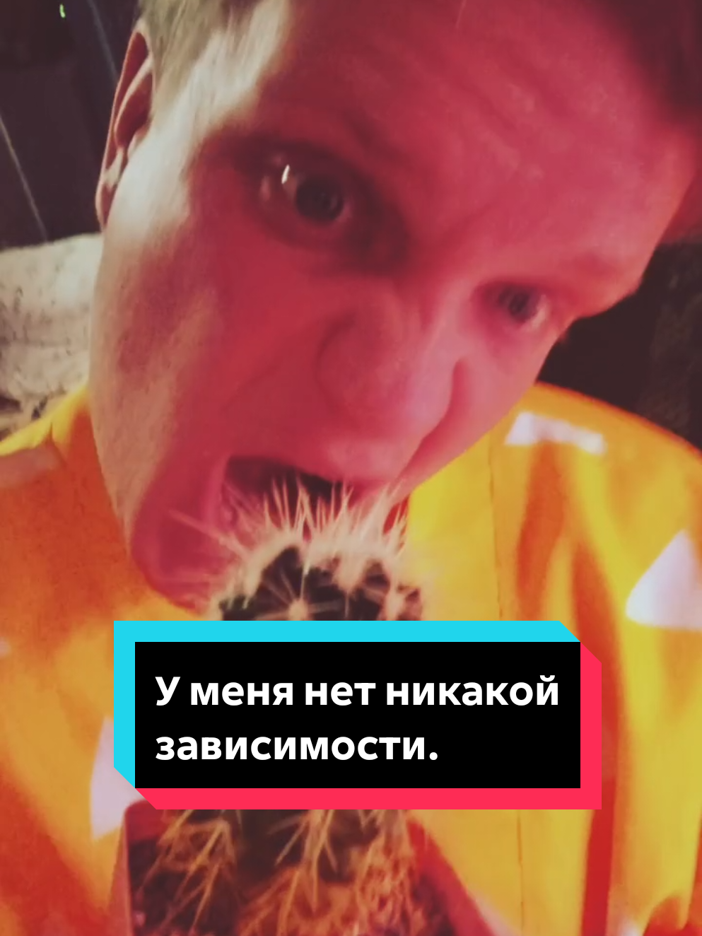 @Ромик Цветовод